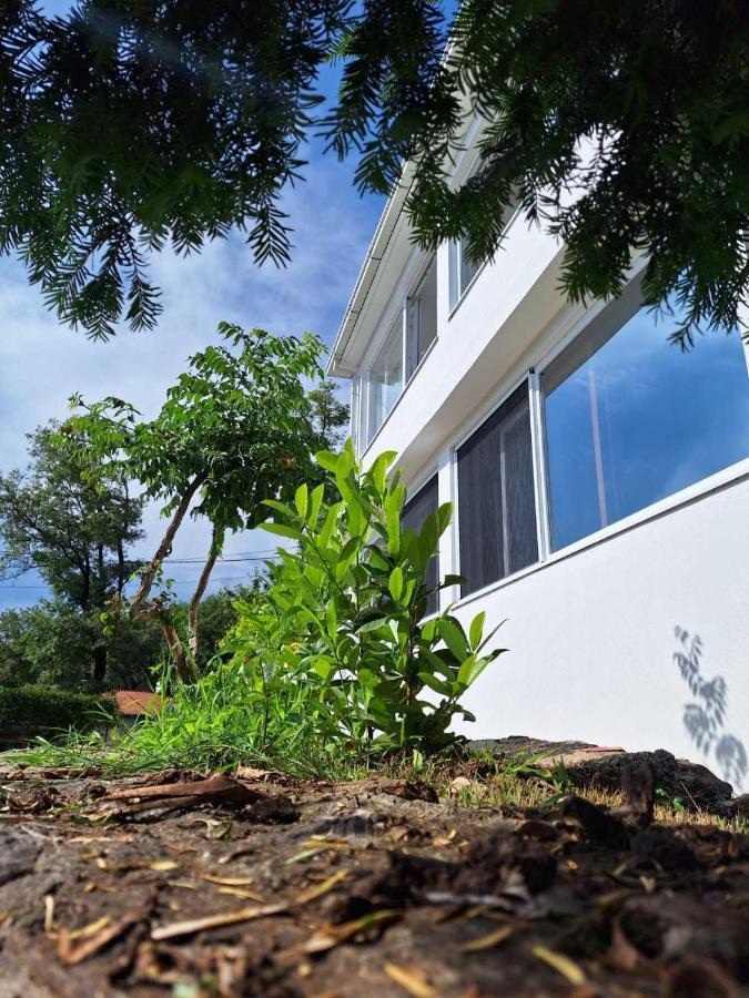 Apartman Glorija Kotor Eksteriør bilde